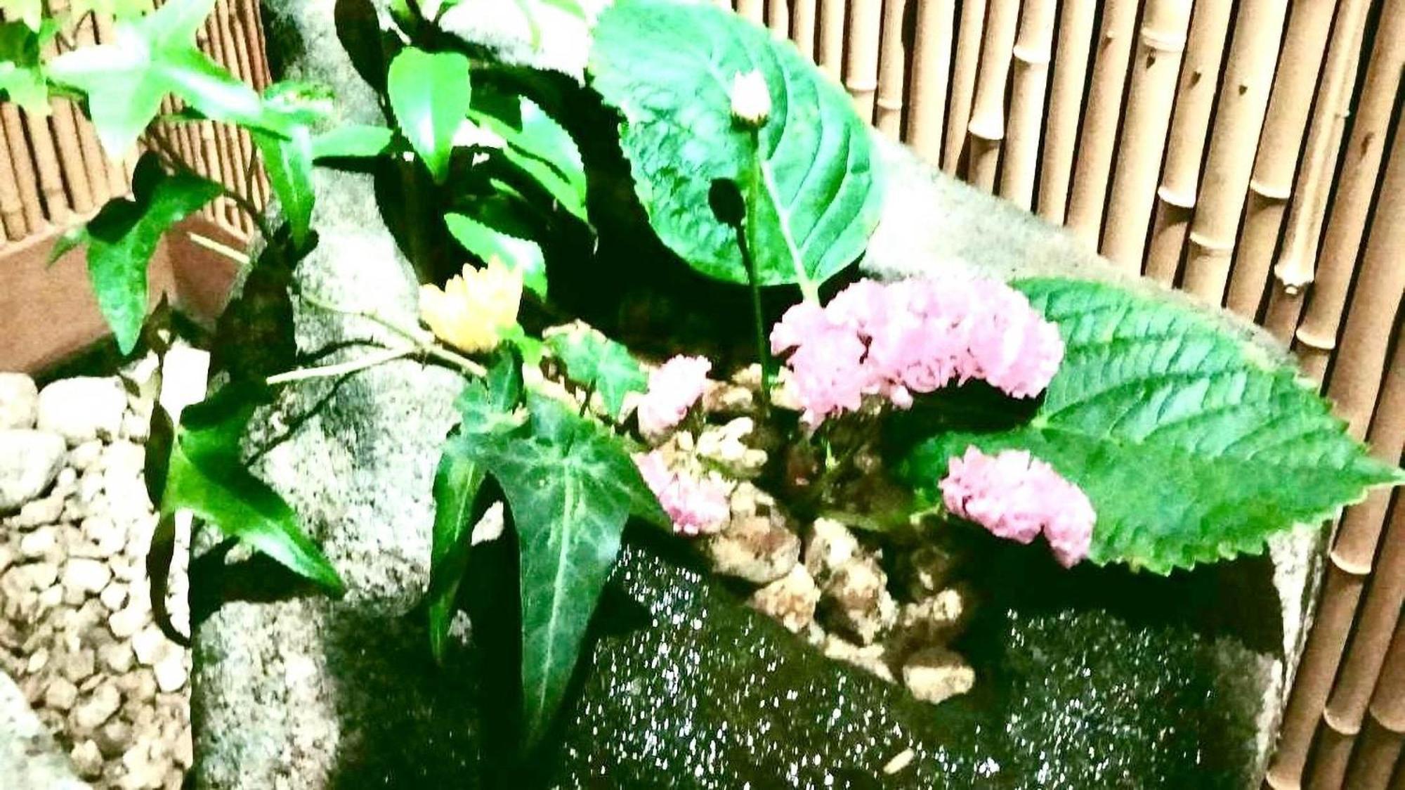 旅館　粛海風 南知多町 エクステリア 写真